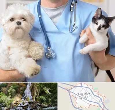 بیمارستان شبانه روزی دامپزشکی در الیگودرز