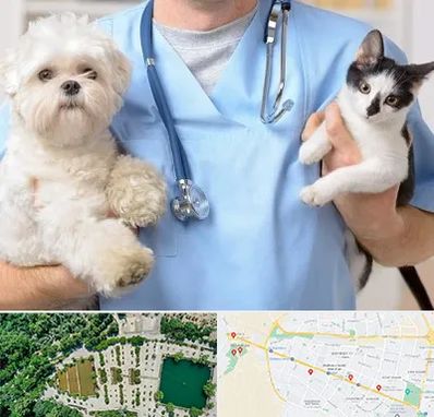 بیمارستان شبانه روزی دامپزشکی در وکیل آباد مشهد