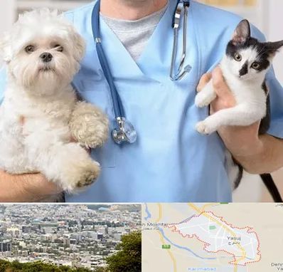 بیمارستان شبانه روزی دامپزشکی در یاسوج