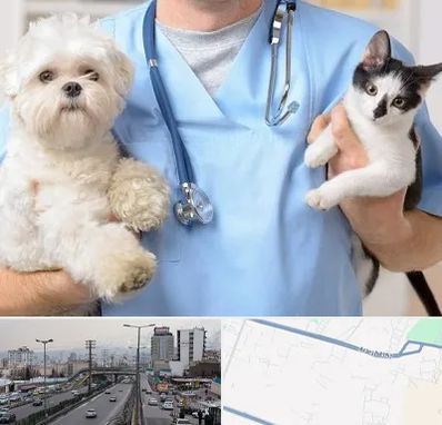 بیمارستان شبانه روزی دامپزشکی در بلوار ارتش