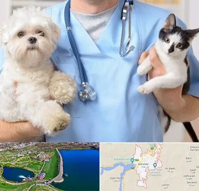 بیمارستان شبانه روزی دامپزشکی در مهاباد