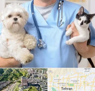 بیمارستان شبانه روزی دامپزشکی در شمال تهران 