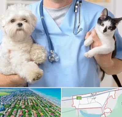 بیمارستان شبانه روزی دامپزشکی در نور