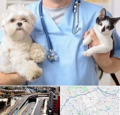 بیمارستان شبانه روزی دامپزشکی در ستارخان شیراز