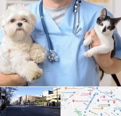 بیمارستان شبانه روزی دامپزشکی در خیابان ملاصدرا شیراز