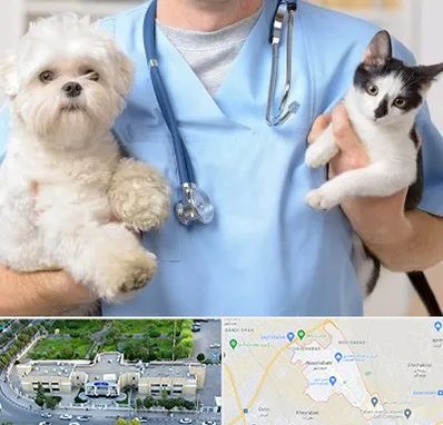 بیمارستان شبانه روزی دامپزشکی در نسیم شهر