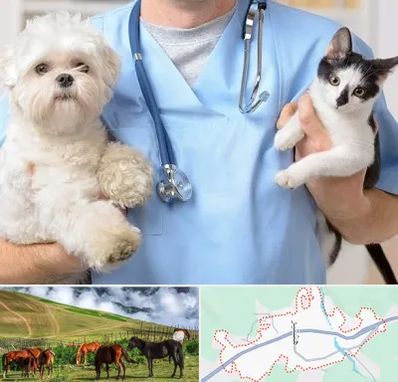 بیمارستان شبانه روزی دامپزشکی در تالش