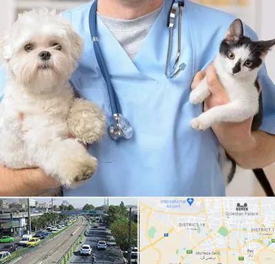 بیمارستان شبانه روزی دامپزشکی در جنوب تهران 