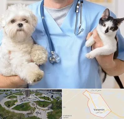 بیمارستان شبانه روزی دامپزشکی در ورامین