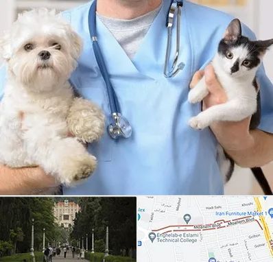 بیمارستان شبانه روزی دامپزشکی در بلوار معلم رشت 