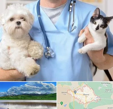 بیمارستان شبانه روزی دامپزشکی در مرند