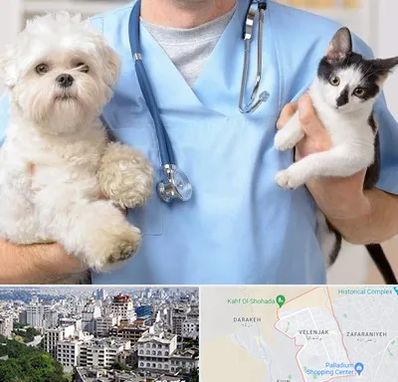 بیمارستان شبانه روزی دامپزشکی در ولنجک 