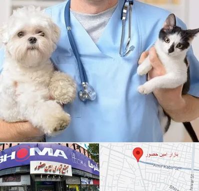بیمارستان شبانه روزی دامپزشکی در امین حضور