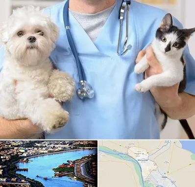 بیمارستان شبانه روزی دامپزشکی در خرمشهر