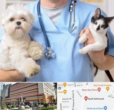 بیمارستان شبانه روزی دامپزشکی در سهروردی 