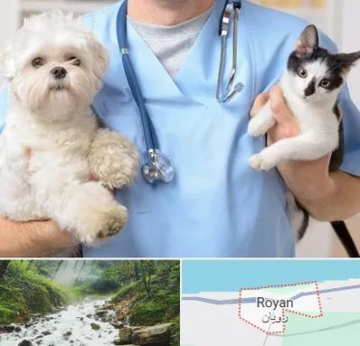 بیمارستان شبانه روزی دامپزشکی در رویان