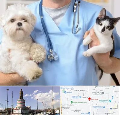 بیمارستان شبانه روزی دامپزشکی در کارگر جنوبی 