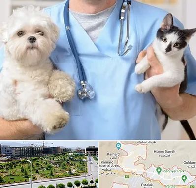 بیمارستان شبانه روزی دامپزشکی در پردیس