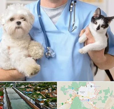 بیمارستان شبانه روزی دامپزشکی در مراغه