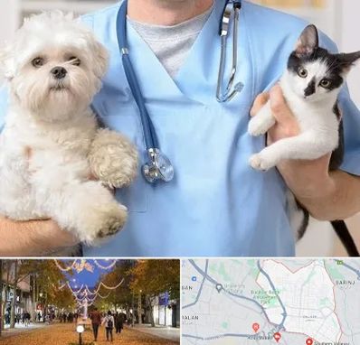 بیمارستان شبانه روزی دامپزشکی در ولیعصر ارومیه