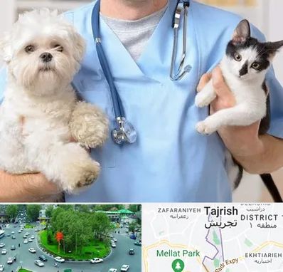 بیمارستان شبانه روزی دامپزشکی در تجریش 
