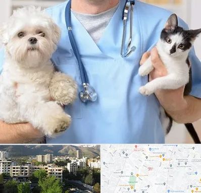 بیمارستان شبانه روزی دامپزشکی در دیباجی 