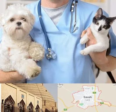 بیمارستان شبانه روزی دامپزشکی در ساوه