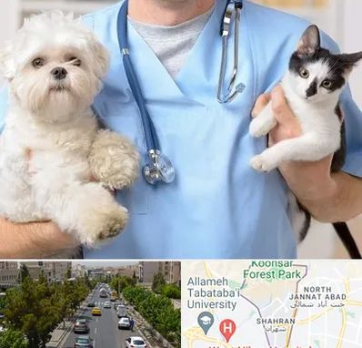 بیمارستان شبانه روزی دامپزشکی در شهران 