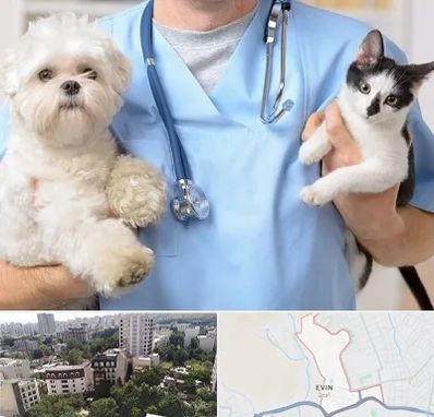 بیمارستان شبانه روزی دامپزشکی در اوین