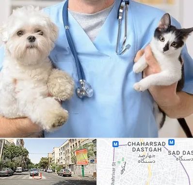 بیمارستان شبانه روزی دامپزشکی در چهارصد دستگاه 