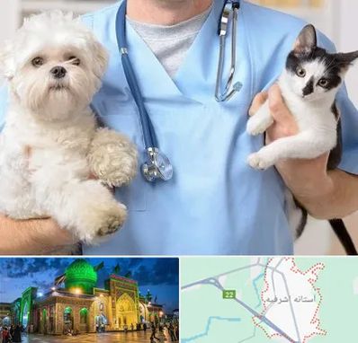 بیمارستان شبانه روزی دامپزشکی در آستانه اشرفیه