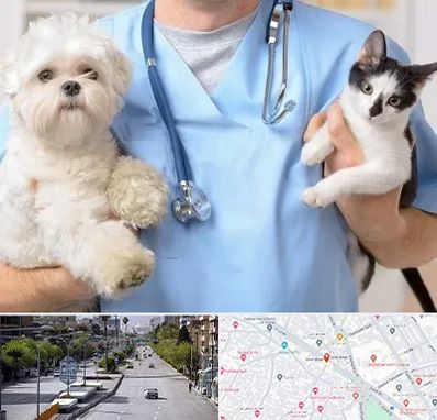 بیمارستان شبانه روزی دامپزشکی در خیابان زند شیراز