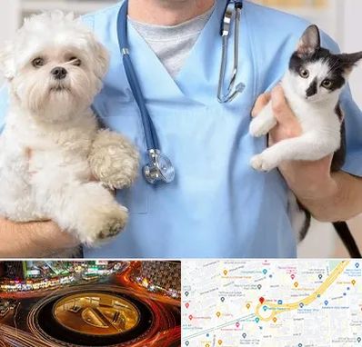 بیمارستان شبانه روزی دامپزشکی در میدان ولیعصر 