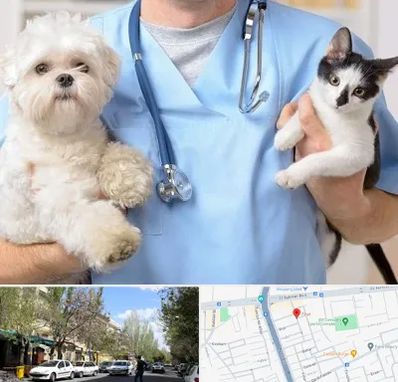 بیمارستان شبانه روزی دامپزشکی در کوی فیروز تبریز