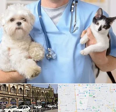 بیمارستان شبانه روزی دامپزشکی در منطقه 11 تهران 