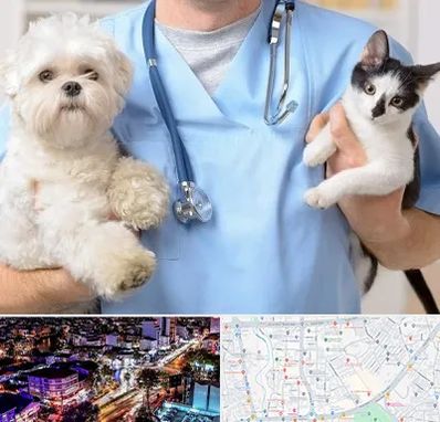 بیمارستان شبانه روزی دامپزشکی در منظریه رشت