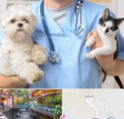 بیمارستان شبانه روزی دامپزشکی در درکه