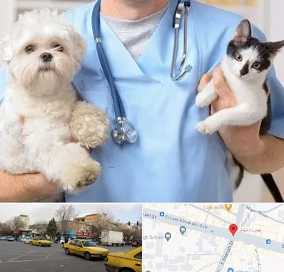 بیمارستان شبانه روزی دامپزشکی در شهناز تبریز