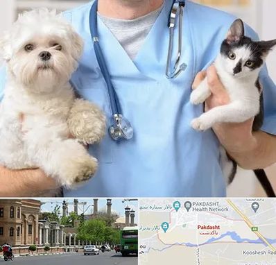 بیمارستان شبانه روزی دامپزشکی در پاکدشت