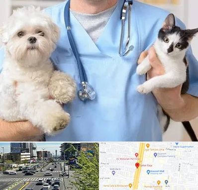 بیمارستان شبانه روزی دامپزشکی در ستاری 