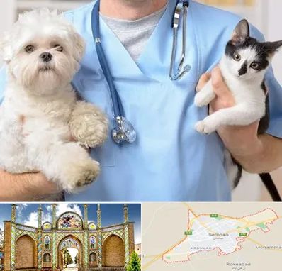 بیمارستان شبانه روزی دامپزشکی در سمنان