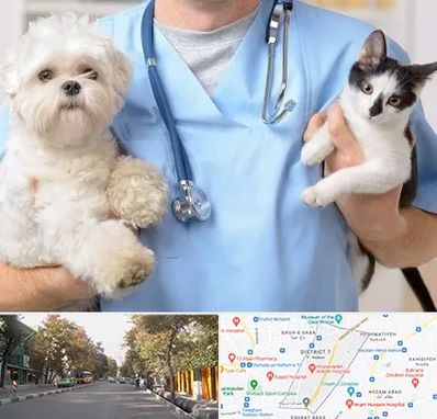 بیمارستان شبانه روزی دامپزشکی در شریعتی 