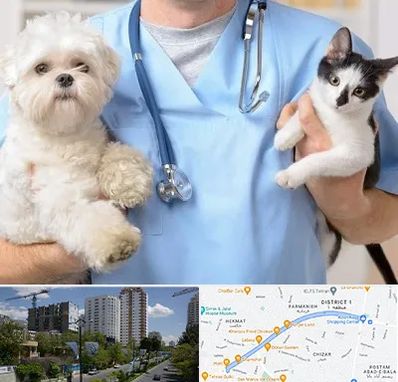 بیمارستان شبانه روزی دامپزشکی در اندرزگو