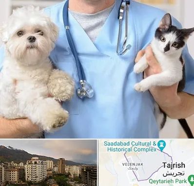 بیمارستان شبانه روزی دامپزشکی در زعفرانیه 