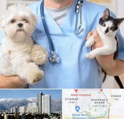بیمارستان شبانه روزی دامپزشکی در شهرک غرب 
