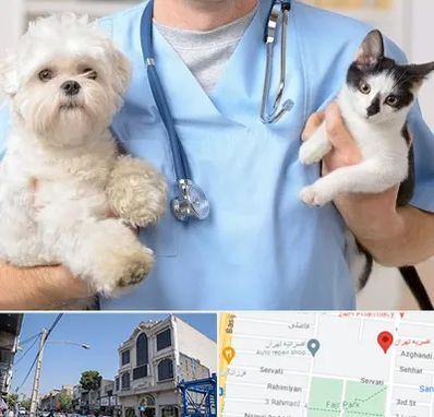بیمارستان شبانه روزی دامپزشکی در افسریه 