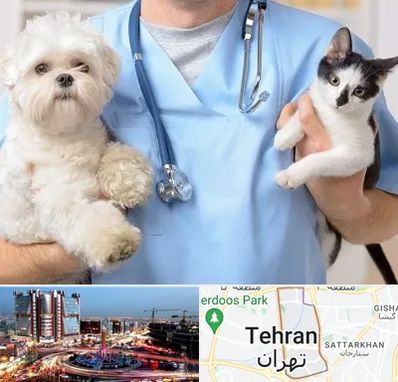 بیمارستان شبانه روزی دامپزشکی در صادقیه 