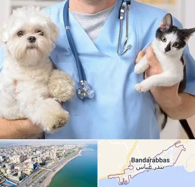 بیمارستان شبانه روزی دامپزشکی در بندرعباس