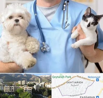بیمارستان شبانه روزی دامپزشکی در اختیاریه 