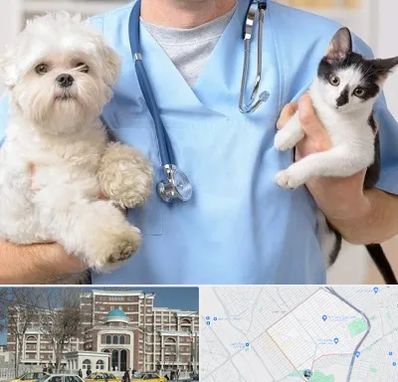 بیمارستان شبانه روزی دامپزشکی در طلاب مشهد